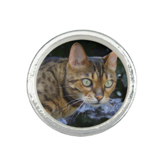 Sneaking Bengal Cat Ring