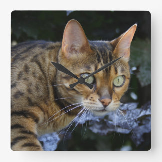 Sneaking Bengal Cat Square Wall Clock