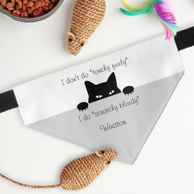 Sneaky Cat Touchy Feely Pet Bandana Collar (Creator Uploaded)