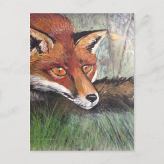 Sneaky Fox Postcard