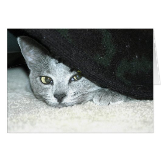 Sneaky Karma (Front Horizontal)