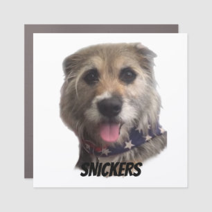 SNICKERS MAGNET