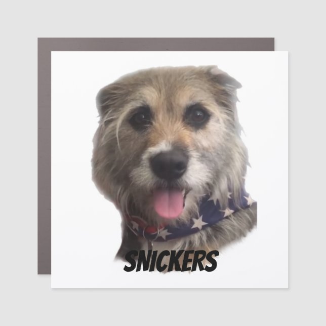 SNICKERS  MAGNET (Front)