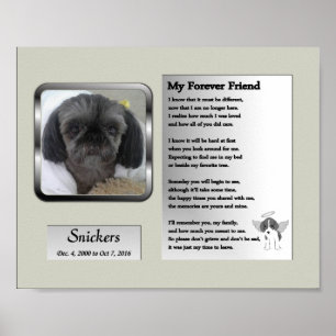 Snickers Memorial Poster