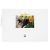 Sniff (Back Horizontal)