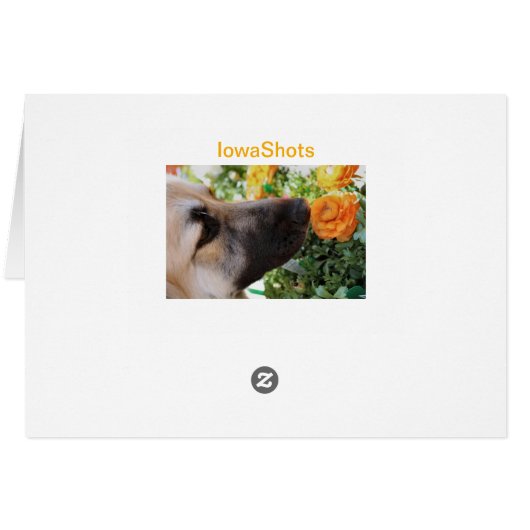 Sniff (Back Horizontal)