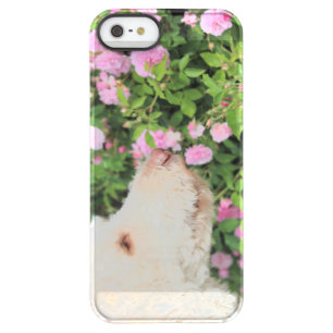 Sniff Permafrost iPhone SE/5/5s Case
