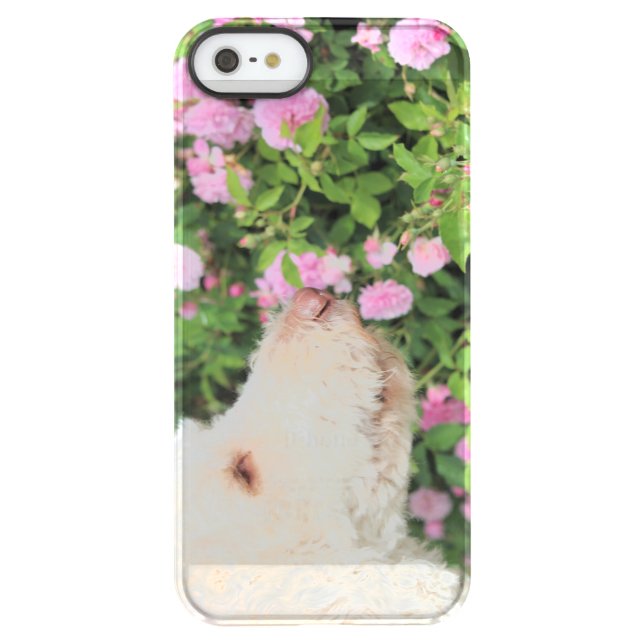Sniff Uncommon iPhone Case (Back)