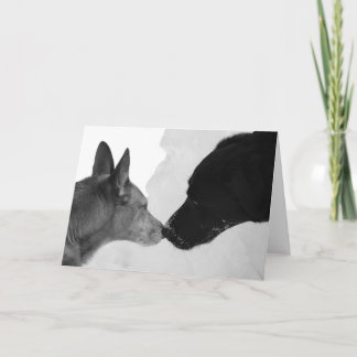 Sniffing Greeting Card