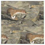 Sniffing Weasel Fabric
