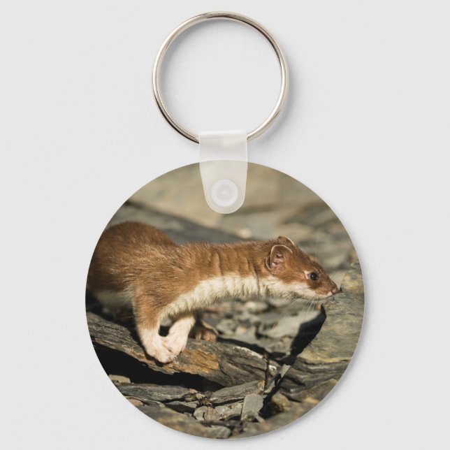 Sniffing Weasel Keychain (Front)