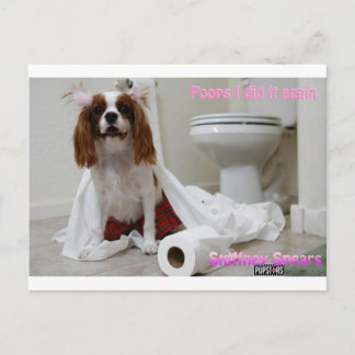 Snifney Spears Postcard