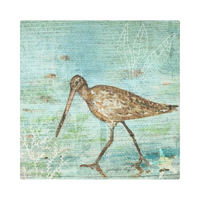 Snipe Coastal And Beach House Art (Front)