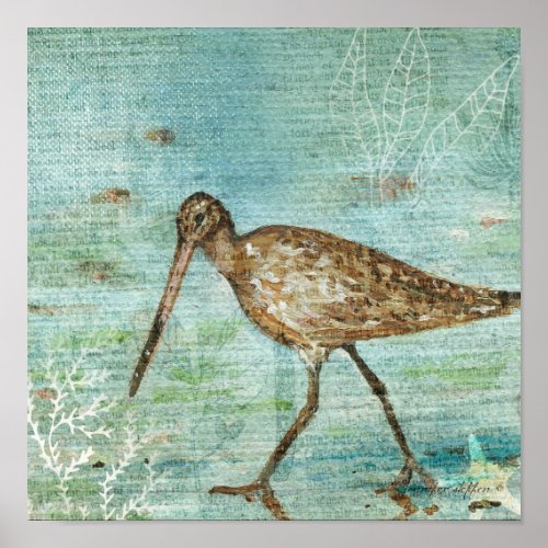 Snipe Coastal Shorebird Beach Art Print