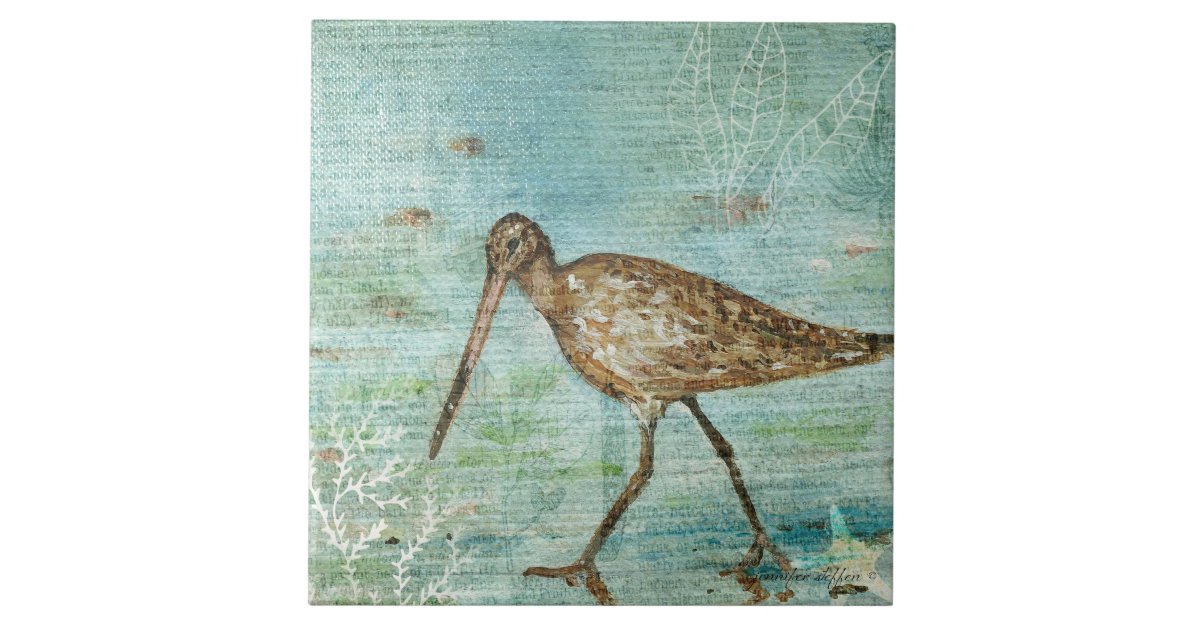 Get Wallpaper Snipe Shorebird Beach Coastal Decor Ceramic Tile Zazzle Com Free HD