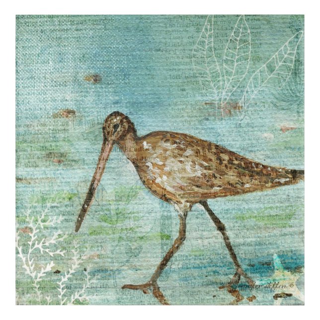 Snipe Shorebird Beach House Home Decor (Front)