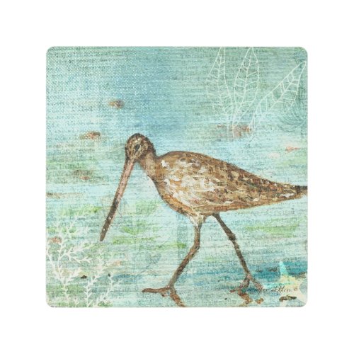 Snipe Shorebird Bird At Beach Metal Print