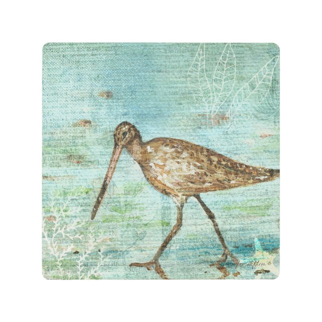 Snipe Shorebird Bird At Beach Metal Print (Front)