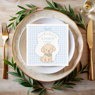 Snips, Snails, and Puppy Dog Tails vintage party Napkins