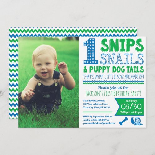 Snips Snails  Puppy Dog Tails 1st Birthday Invitation