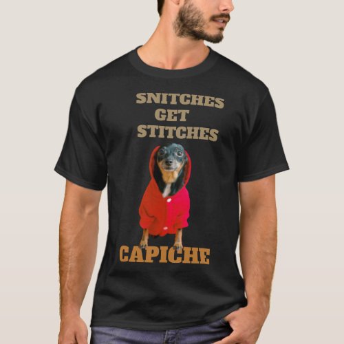 Snitches Get Stitches Capiche T_Shirt