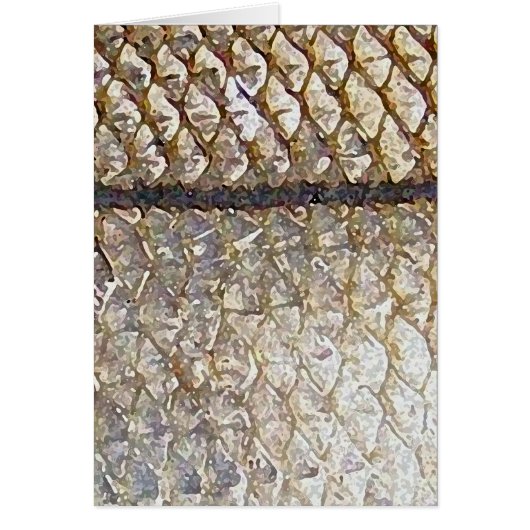 Snook - Card (Front)