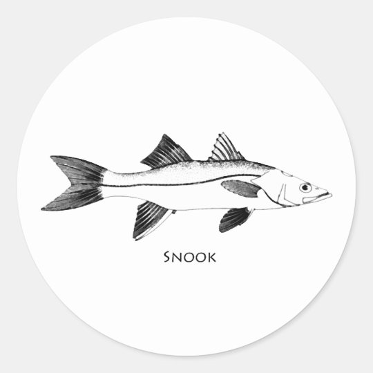Old Snook for ipod download