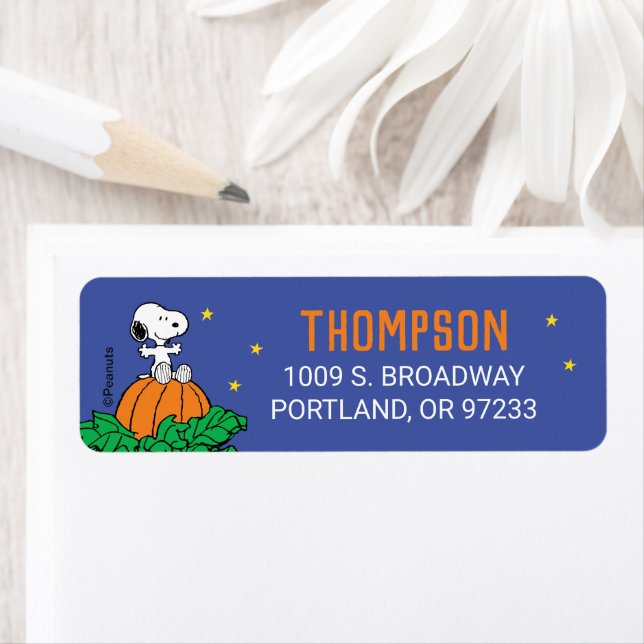 Snoopy and Pumpkin First Birthday Label (Insitu)