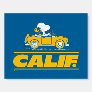 Snoopy and Woodstock’s California Road Trip Foam Board