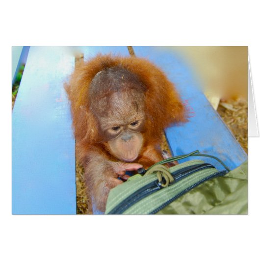 Snoopy Baby Orangutan Cards (Front Horizontal)