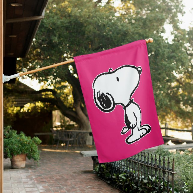 Snoopy Classic Comics House Flag (In SItu)