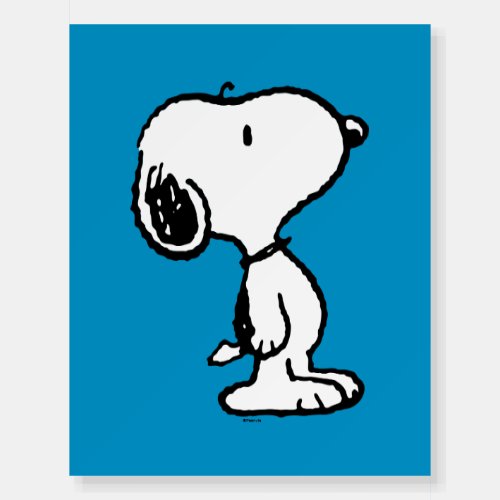 Snoopy Classic Comics Pattern Foam Board
