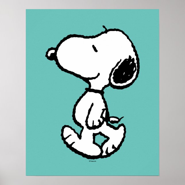Snoopy Classic Comics Poster (Front)