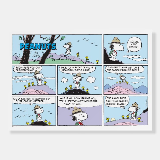 Snoopy & Friends | Go Hiking Foam Board (Front)