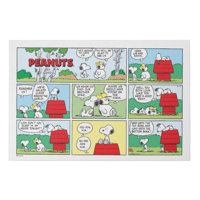 Snoopy & His Brothers Andy & Olaf Faux Canvas Print (Front)