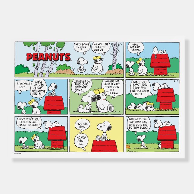 Snoopy & His Brothers Andy & Olaf Foam Board (Front)