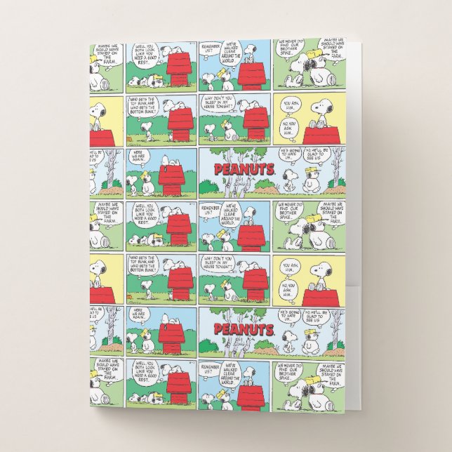 Snoopy & His Brothers Andy & Olaf Pocket Folder (Front)
