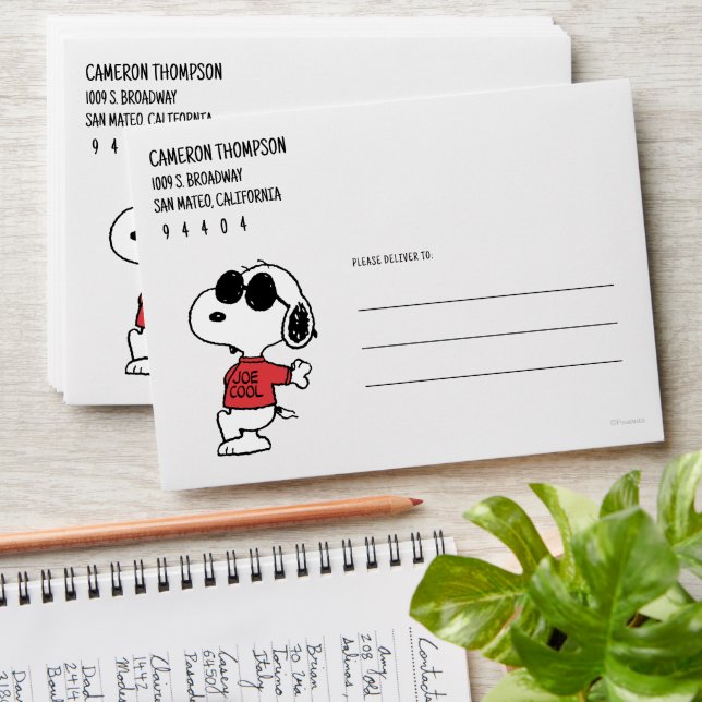 Snoopy "Joe Cool" Standing Envelope (Stacked)