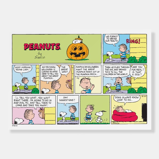 Snoopy & Linus | The Great Pumpkin News Foam Board (Front)
