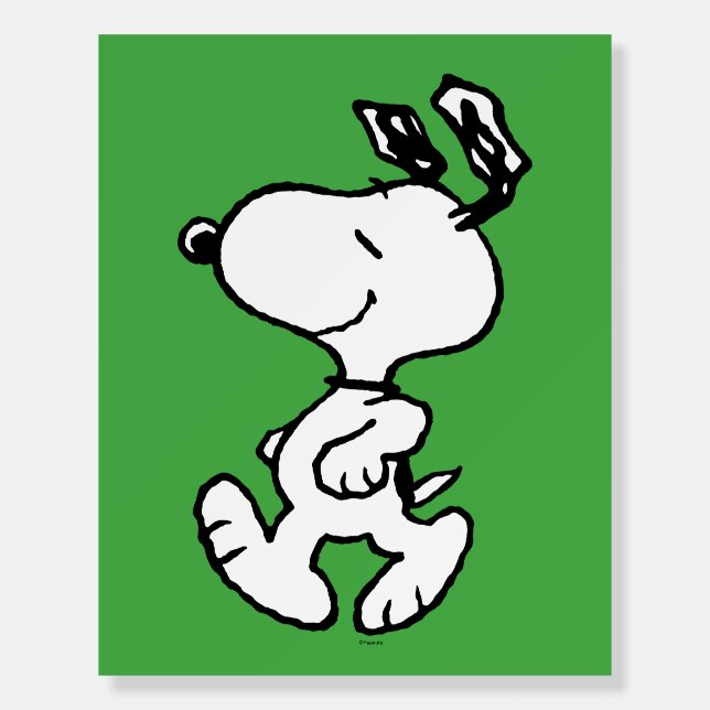Snoopy So Sweet Flower Pattern Foam Board (Front)