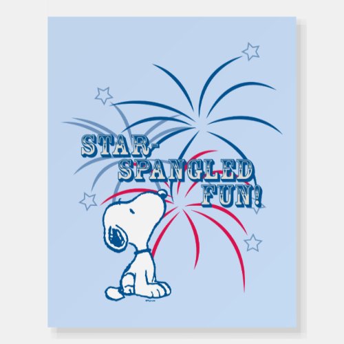 Snoopy Star Spangled Fun Foam Board