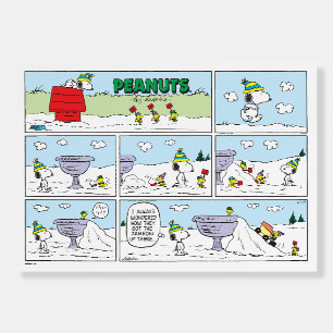 Snoopy & The Crew Foam Board