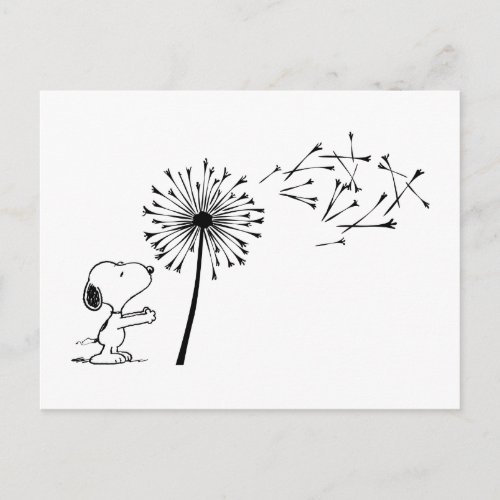 Snoopy With Dandelion Postcard
