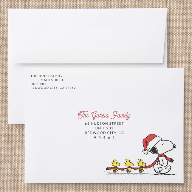 Snoopy & Woodstock Addressed Envelopes (Linen)