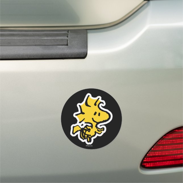 Snoopy & Woodstock Fun & Flowers Car Magnet (In Situ)