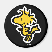 Snoopy & Woodstock Fun & Flowers