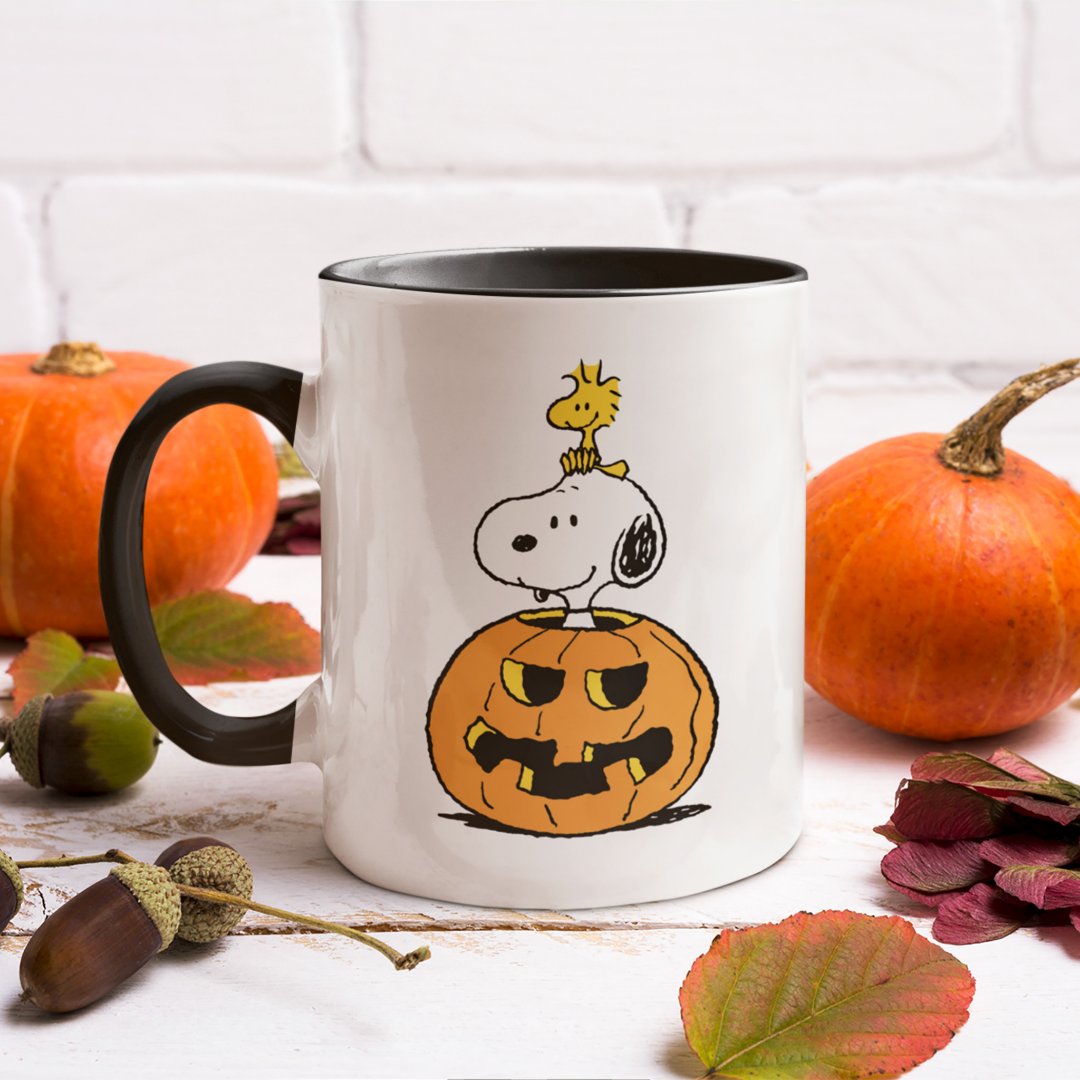 Snoopy & Woodstock Pumpkin Mug (Mug on counter)
