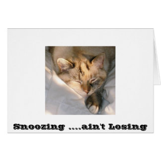 Snoozing ....ain't Losing Cards