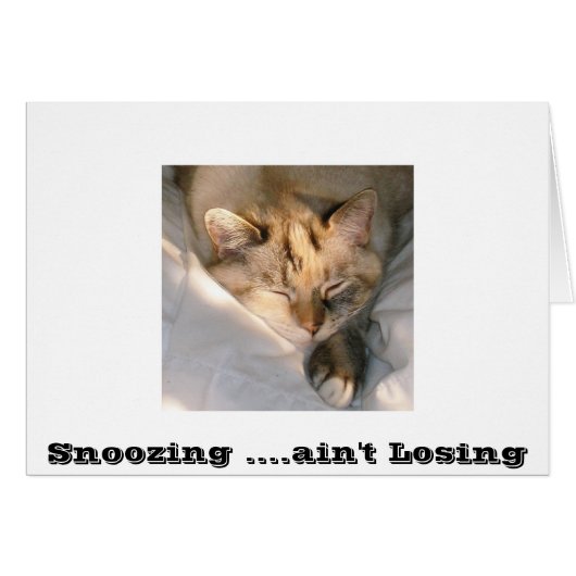 Snoozing ....ain't Losing Cards (Front Horizontal)