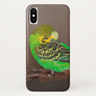 Snoozing Budgie iPhone X Case
